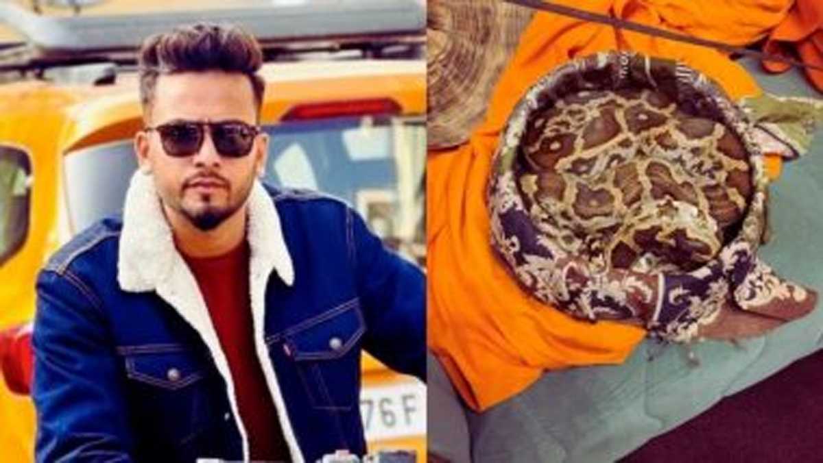 बिग बॉस विनर एल्विश पर सांपों की तस्करी और रेव पार्टी का लगा आरोप, 20 एमएल जहर के साथ 5 तस्कर गिरफ्तार